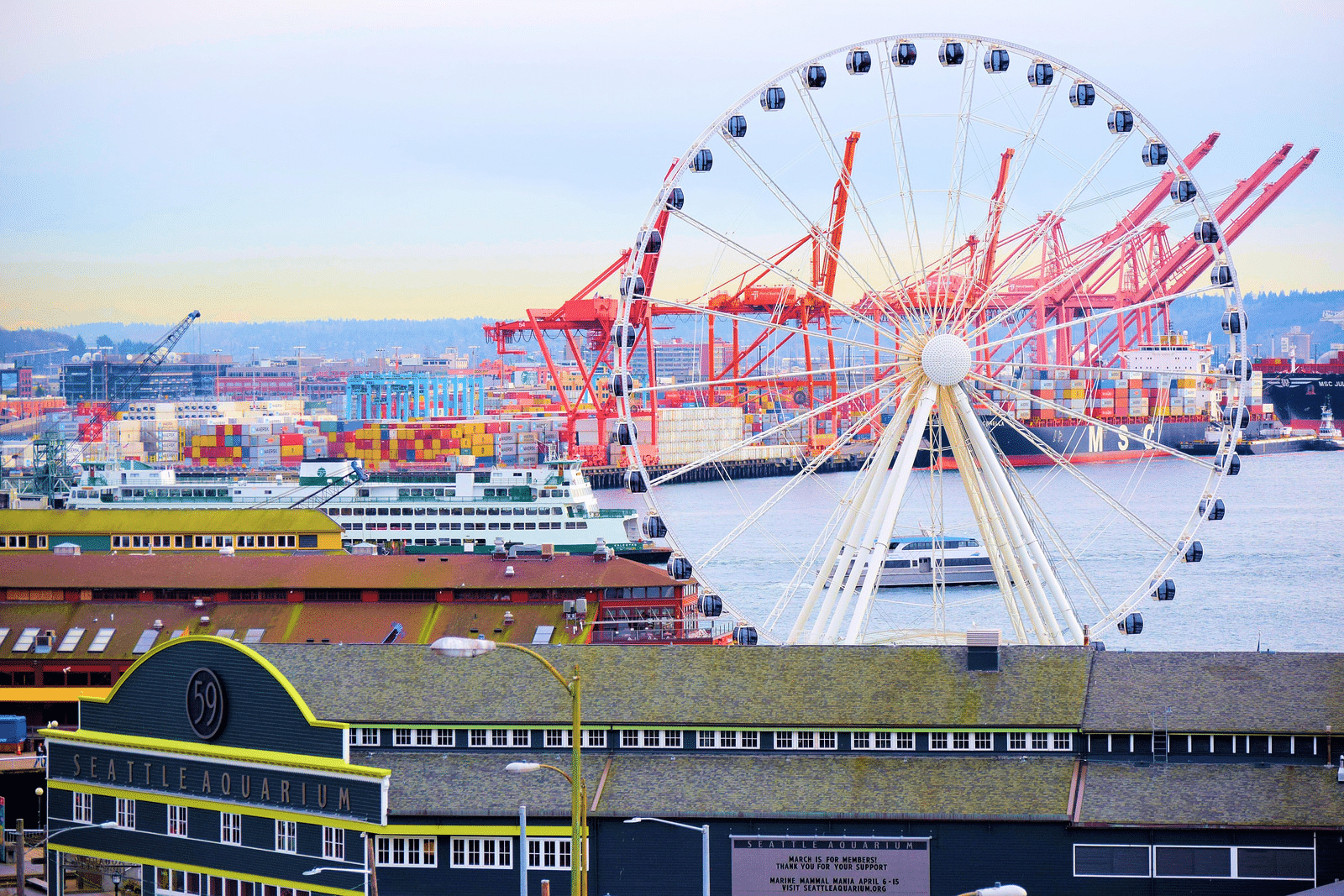 Seattle Great Wheel, Booking Express Travel
