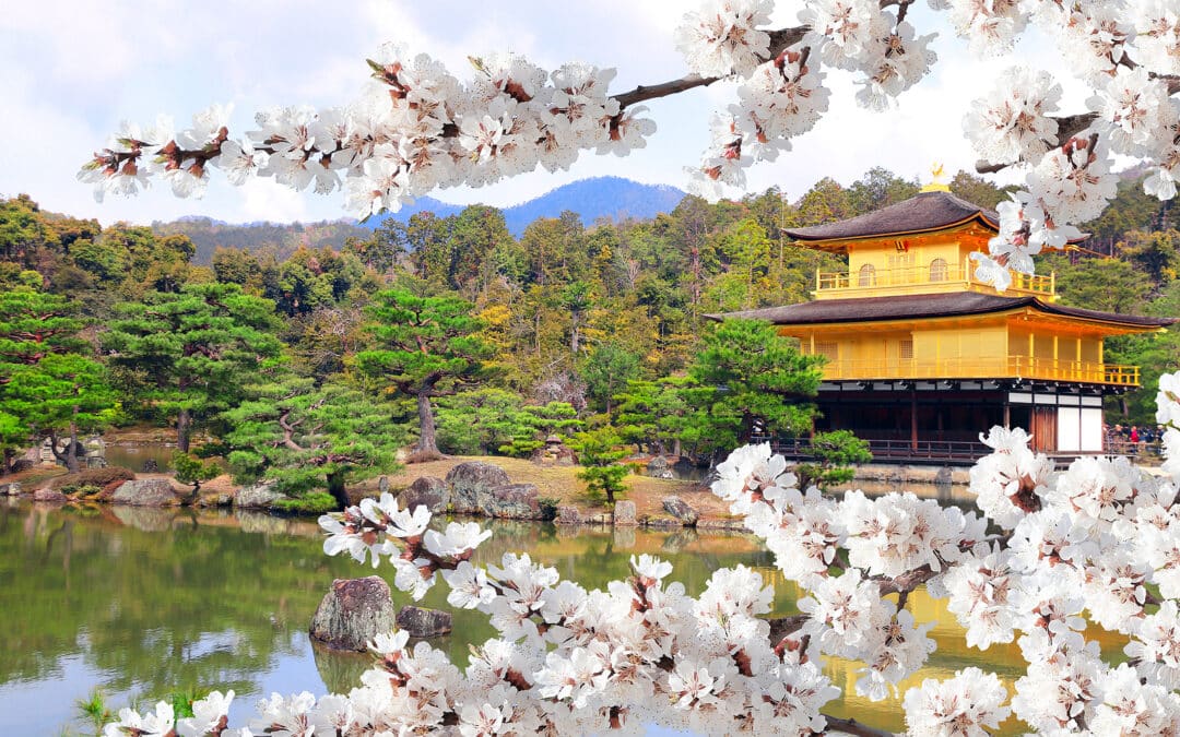 Booking Express Travel Revie Visiting Japan (3)