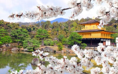 Booking Express Travel Review Visiting Japan